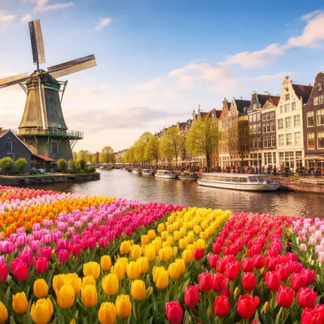 Top Experiences in Amsterdam